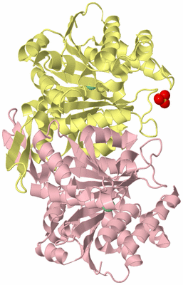 Image Biological Unit 2