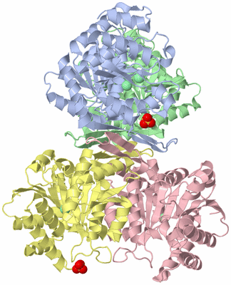 Image Biological Unit 3