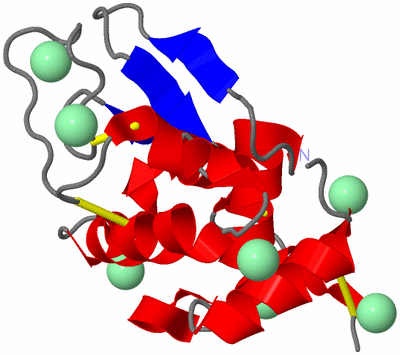 Image Asym./Biol. Unit