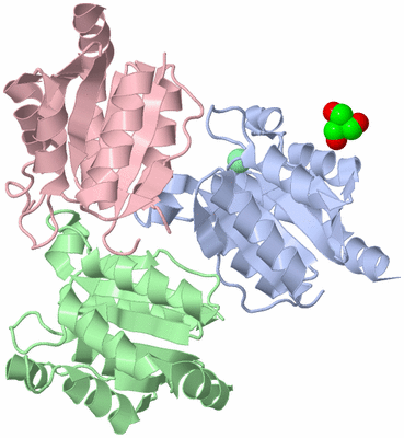 Image Asym./Biol. Unit