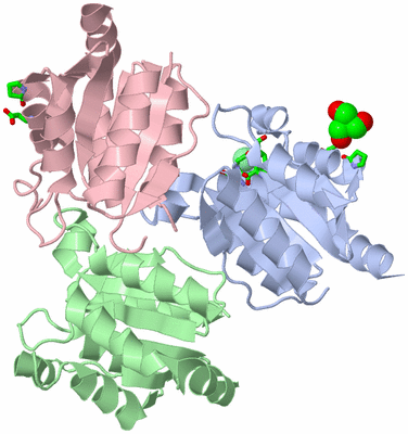 Image Asym./Biol. Unit - sites