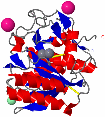 Image Asym./Biol. Unit