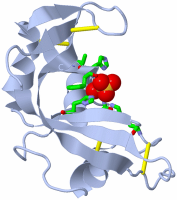 Image Biol. Unit 1 - sites