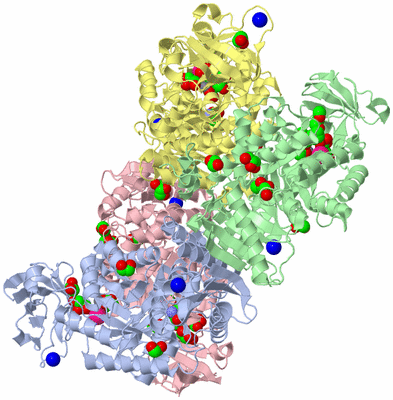 Image Biological Unit 1