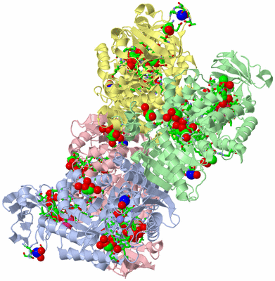 Image Biol. Unit 1 - sites