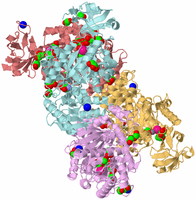 Image Biological Unit 2