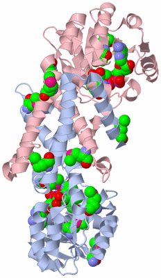 Image Biological Unit 1