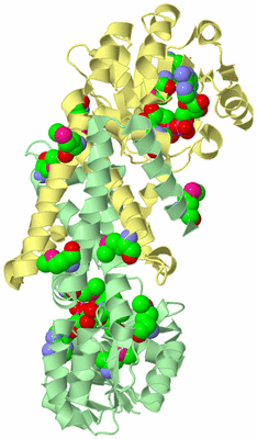 Image Biological Unit 2