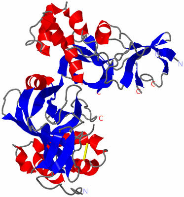 Image Asym./Biol. Unit