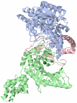 Image Asym./Biol. Unit