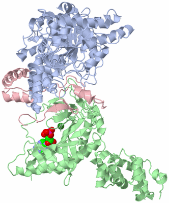 Image Asym./Biol. Unit