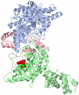 Image Asym./Biol. Unit - sites