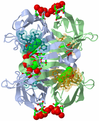 Image Biol. Unit 1 - sites