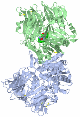 Image Biological Unit 1