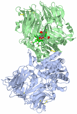 Image Biol. Unit 1 - sites