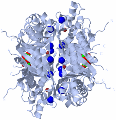 Image Biological Unit 1