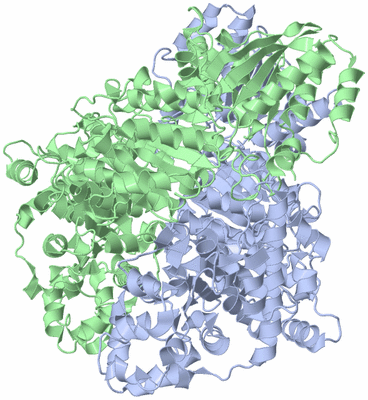 Image Asym./Biol. Unit