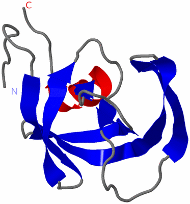 Image Asymmetric Unit