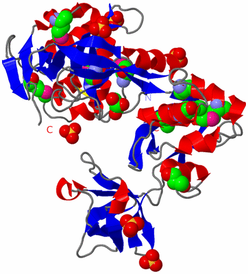 Image Asym./Biol. Unit