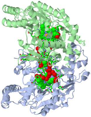 Image Asym./Biol. Unit - sites