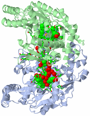 Image Asym./Biol. Unit - sites