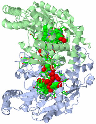 Image Asym./Biol. Unit - sites