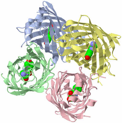 Image Asym./Biol. Unit