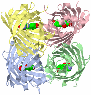 Image Asym./Biol. Unit