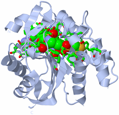 Image Biol. Unit 1 - sites