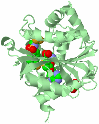 Image Biological Unit 2