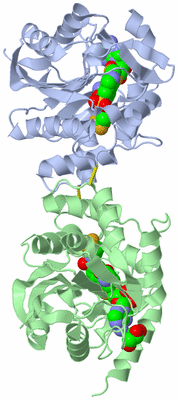 Image Biological Unit 3