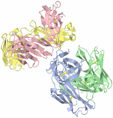 Image Biological Unit 1