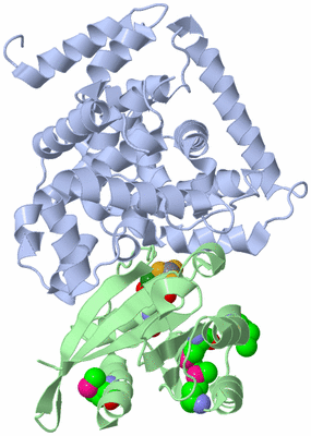 Image Asym./Biol. Unit