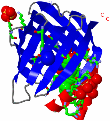 Image Asym./Biol. Unit - sites