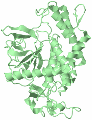 Image Biological Unit 2