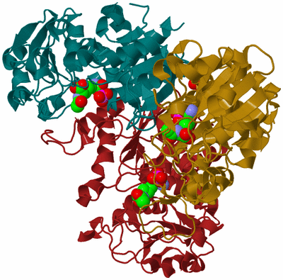 Image Biological Unit 1