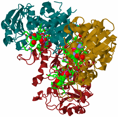 Image Biol. Unit 1 - sites