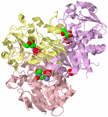 Image Biological Unit 2