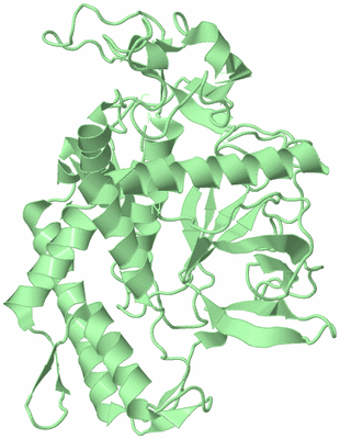 Image Biological Unit 2