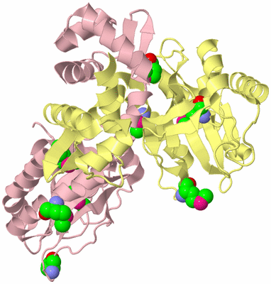 Image Biological Unit 2