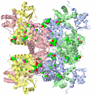 Image Biological Unit 3