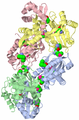 Image Biological Unit 4