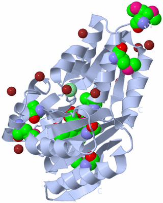 Image Biological Unit 1