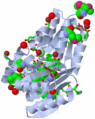 Image Biol. Unit 1 - sites