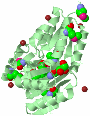 Image Biological Unit 2