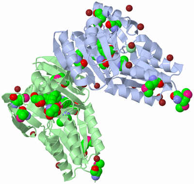 Image Biological Unit 3