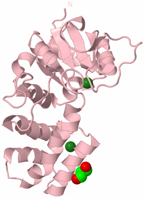 Image Biological Unit 3