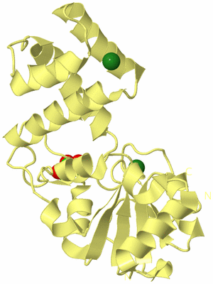 Image Biological Unit 4