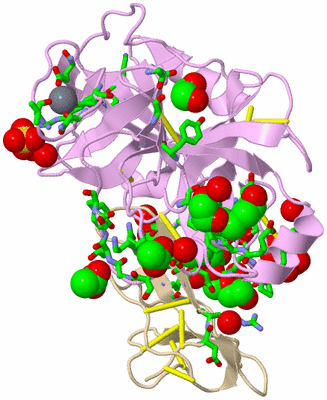 Image Asym./Biol. Unit - sites