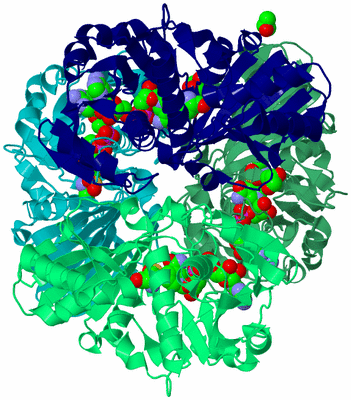 Image Biological Unit 1